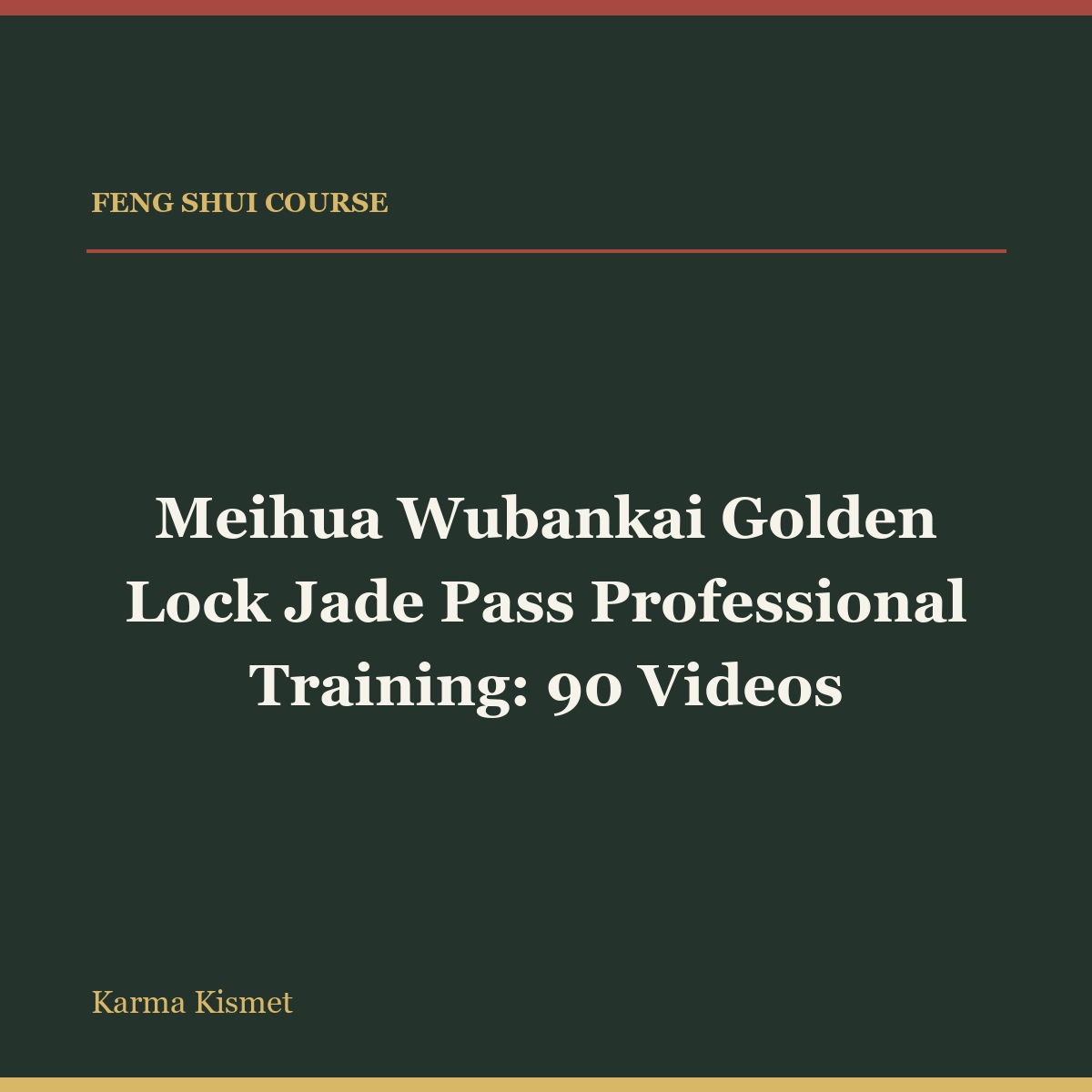 Meihua Wubankai Golden Lock Jade Pass Professional Training: 90 Videos full-title square course cover