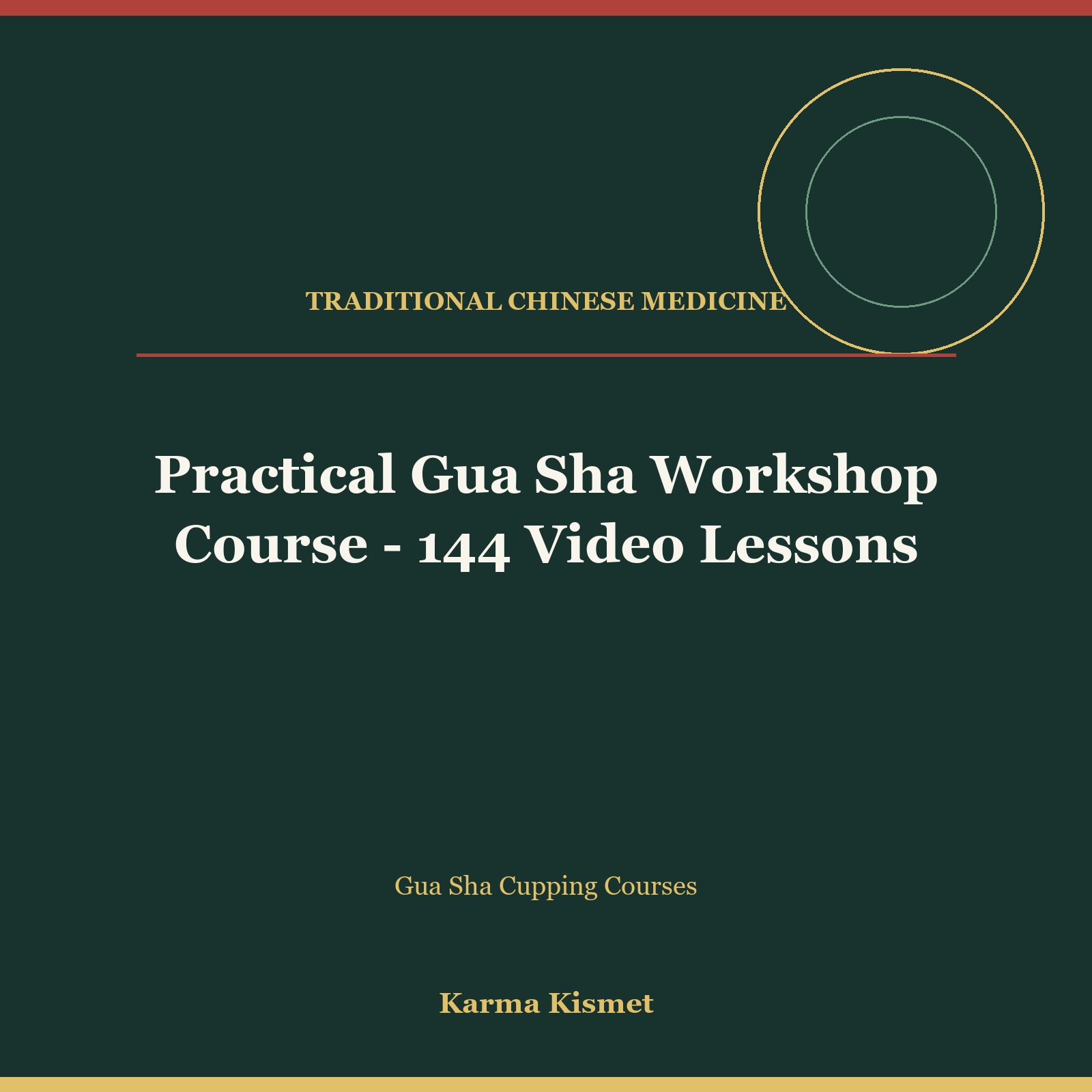 Practical Gua Sha Workshop Course - 144 Video Lessons course cover
